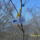 죽도봉길 이미지