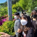 연미초등학교 이미지