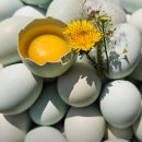 청계농장 이미지