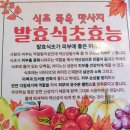곤지암리조트 화담숲 이색카페 궁뜰38발효차커피&amp;족욕카페 방문 후기
