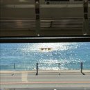 11500-17-44-01 | [도쿄근교여행] 가마쿠라 당일치기 코스 총정리 (feat. 후지산보이는 인생바다 만남)