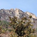 백운천소공원 이미지