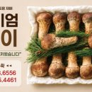 용수1경로당 네이버블로그
