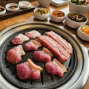 명품 갈매기 이미지