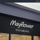 대구꽃배달서비스 이미지