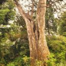 청수대중탕 이미지