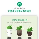 옥타Ⅱ 이미지