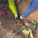 금강초등학교 이미지