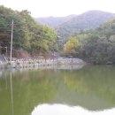 태조산주유소