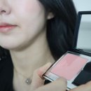 내돈내산 웜톤이 발라본 디올 블러셔 343 파나레아｜김연아 결혼식 볼터치