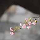 인생역 전 - 북구 | 인생역 전