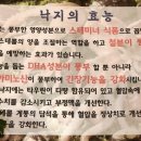 고파도박속낙지 이미지
