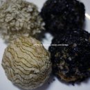 (주)수바이오 이미지