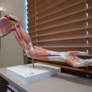 한양신경외과의원 이미지