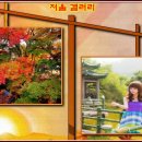 갤러리 저울