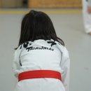 효태권도 이미지