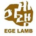 이게램 이미지