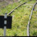 서빙고역 이미지