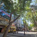 청어람어학원 이미지