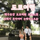 [도쿄로그four] 도쿄타워포토스팟추천 메구로강 논베이요코초 모헤지몬자야끼 후기 일본편의점음식추천
