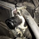 오정차사랑 이미지