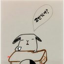 홍무무