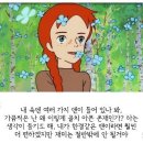 빨간머리앤