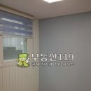 적노동 Daum카페