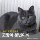 24시 코끼리동물의료센터 이미지