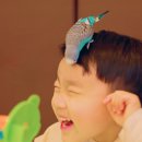리프패럿 - 수원시 권선구 덕영대로1201번길 22 | 리프패럿