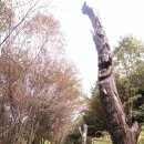 구룡산 이미지