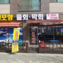 신포항막회물회 이미지