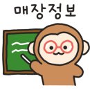 덤앤더머부산 이미지