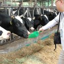 해랑목장 이미지