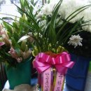 화원목장 이미지