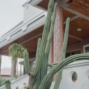 체크 인 제주 이미지