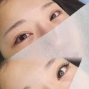 착한속눈썹