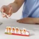 동산동-01 이미지