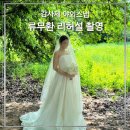 W_2. 류무환스튜디오 대구점 감사제 야외스냅 리허설 촬영 후기