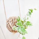 이천남초등학교유치원 이미지