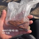혼자 인왕산⛰, 등산메이트🐯