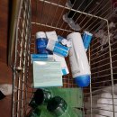 순한약국 이미지