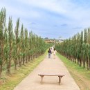 가족목장 이미지