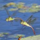 가마못공원 이미지