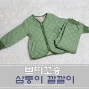 쁘띠꼬숑 이미지