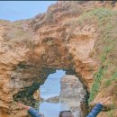 오션투어 이미지