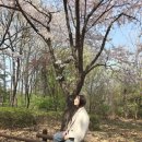 상대원1동 행정복지센터 이미지