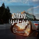 웅이네 애견샵 | 201807 진여인 일상 :: 7월 이야기