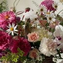 발레드무이 이미지