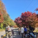 오미정 | 지리산둘레길17코스(20251116일)